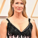 Laura-Dern---92nd-Annual-Academy-Awards-Vettri.Net-02