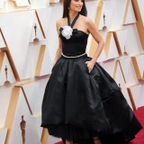 Penelope-Cruz---92nd-Annual-Academy-Awards-Vettri.Net-15