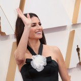 Penelope-Cruz---92nd-Annual-Academy-Awards-Vettri.Net-38