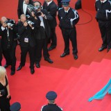 2008-Cannes-Film-Festival---Blindness-Premiere-23